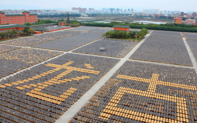 以創(chuàng)意賦能 展國企風貌 廈門輕工集團亮相第十七屆海峽旅游博覽會,摘取兩項大獎