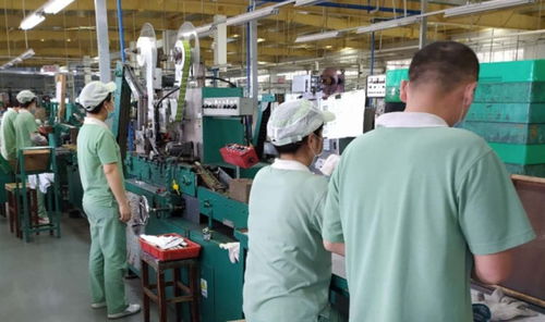 廣州輕工集團(tuán) 以創(chuàng)新驅(qū)動高質(zhì)量發(fā)展，譜寫輕工業(yè)新篇章